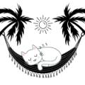 Kattenpension Kockengen