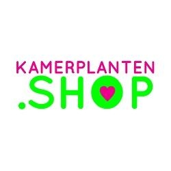 Kamerplanten
