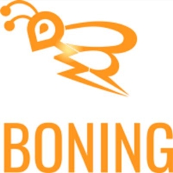 The Boning