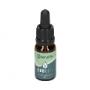 Cbd olie hemplife