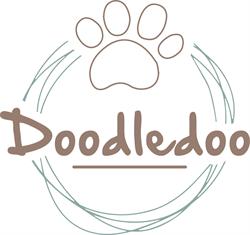 Doodledoo