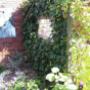 Hoveniersbedrijf Assen Tuin bij Do wilde tuin