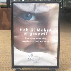 MohsA