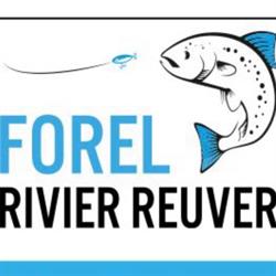 Forelrivier Reuver