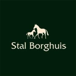 Stal Borghuis (R.H. Borghuis en J.N. Hoogerbrugge)