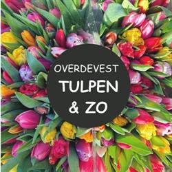 Tulpen & Zo