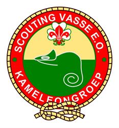 Kameleongroep Scouting Vasse