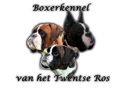 Boxerkennel van het Twentse Ros