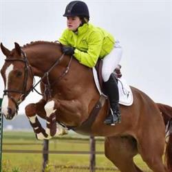 Veiling Dronten