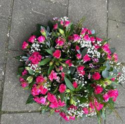 Tuincentrum Almere Haven