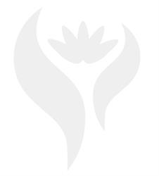 Brabant Personenschade