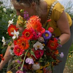 Warmoes, Historische tuinderij Lent