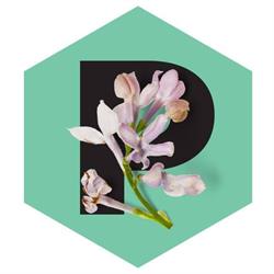 Stichting The Pollinators