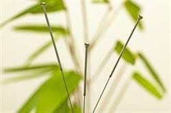 Acupunctuur Oostvoorne