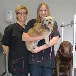 Hondenkapsalon Milou