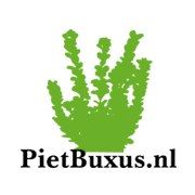 Pietbuxus