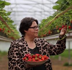 Boerderijwinkel het Aardbeienvrouwtje
