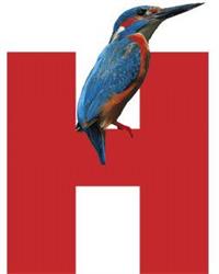 Vogelhospitaal Naarden