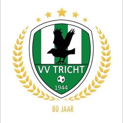 V.V. Tricht