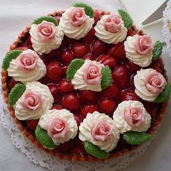 Houwens vlaai nieuw logo