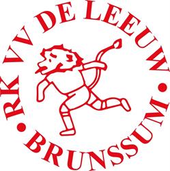 vv De Leeuw