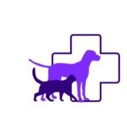 Dierenkliniek Beter Dier, Kattenpension Beter Dier