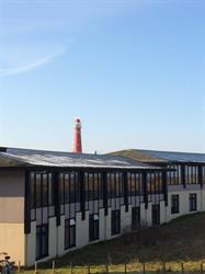 Venusschelp