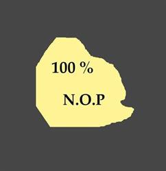 100% N O P Koeriersdiensten