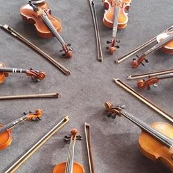 Viooltalent