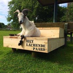 Het Lachende Paard
