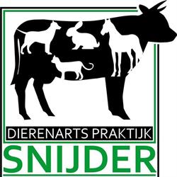 Snijder Dap