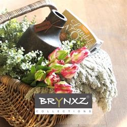 Brynxz Collections