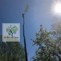 Arbor Care Boomverzorging