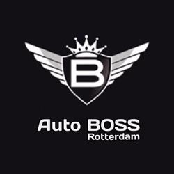 Auto BOSS