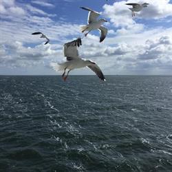 Waddenlodge