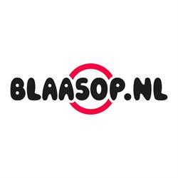 Blaasop.nl - Abraham en Sarah pop huren