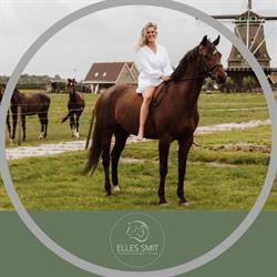 Elles Smit Paardencoaching en Training