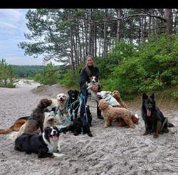 Shirley's Daily Dog Care