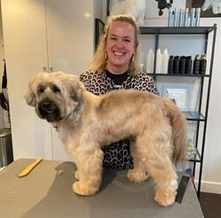 Harige Harrie Hondentrimsalon