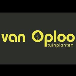 van Oploo Tuinplanten B.V.