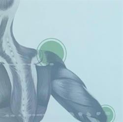 In-Motion fysio