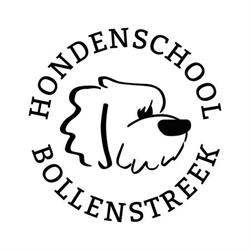 Quiebus Hondenschool Bollenstreek