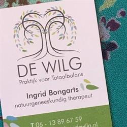 Praktijk De Wilg Voor Totaal Balans
