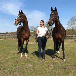 SR Paardencoaching