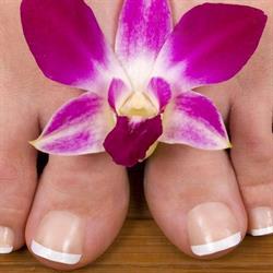 Pedicure-noord