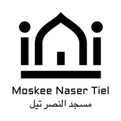 Mosque Naser Tiel