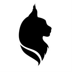 Majestic Maine Coon Cattery