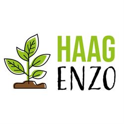 Haagenzo.nl