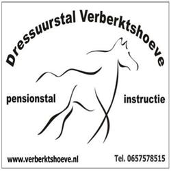 Dressuurstal Verberktshoeve
