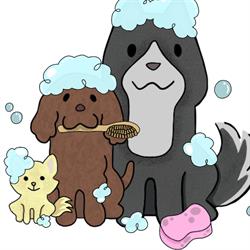 Dogwash Rotterdam